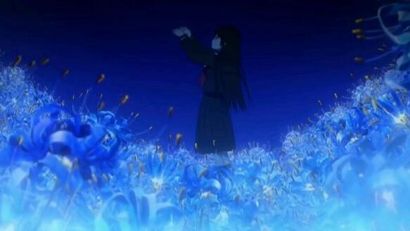 彼岸花碰到血会如何,彼岸花为何不能养