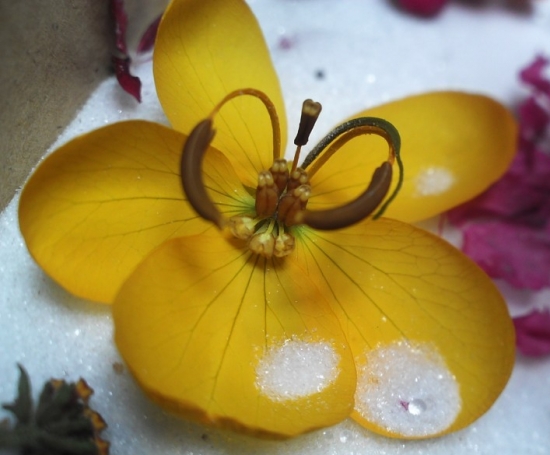 5种超简单又实用的干花制作教程，让花儿永不凋谢！