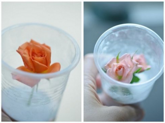 5种超简单又实用的干花制作教程，让花儿永不凋谢！