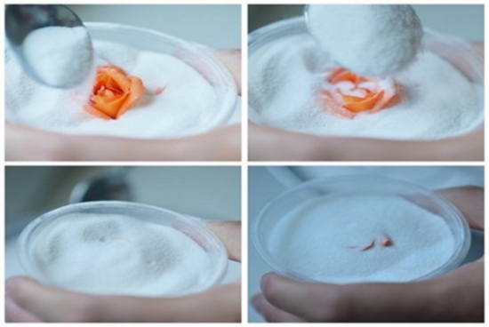 5种超简单又实用的干花制作教程，让花儿永不凋谢！