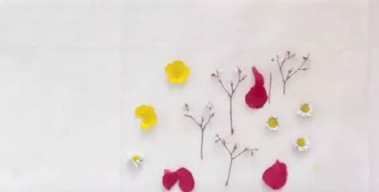 5种超简单又实用的干花制作教程，让花儿永不凋谢！