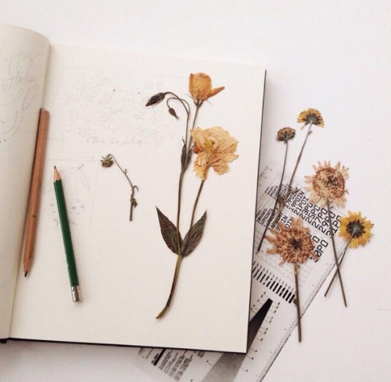 5种超简单又实用的干花制作教程，让花儿永不凋谢！