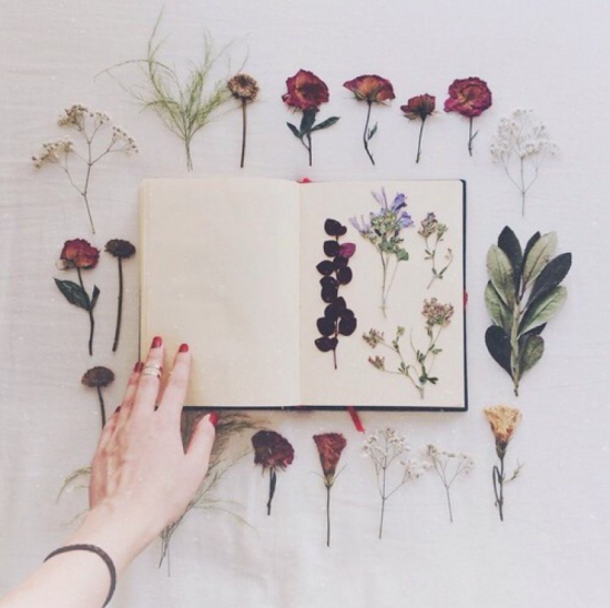 5种超简单又实用的干花制作教程，让花儿永不凋谢！