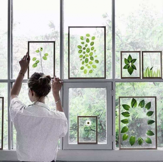 5种超简单又实用的干花制作教程，让花儿永不凋谢！