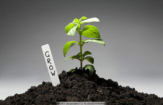 土壤需要消毒吗？消毒办法有哪些？