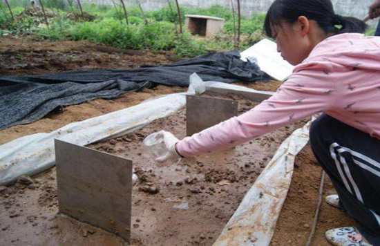 土壤需要消毒吗？消毒办法有哪些？