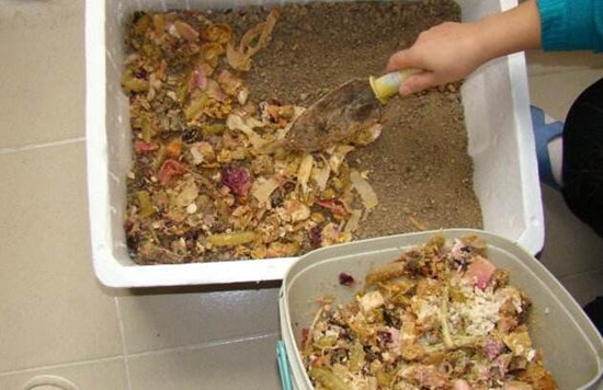 营养土的自制办法——手把手教你自制营养土