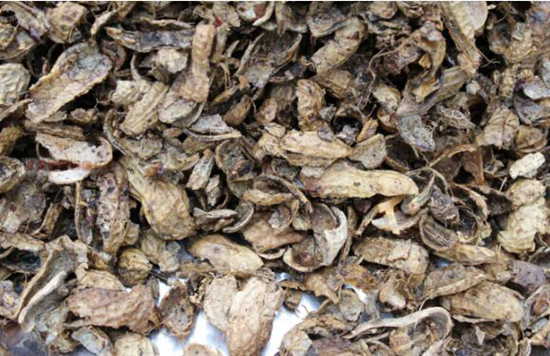 营养土的自制办法——手把手教你自制营养土