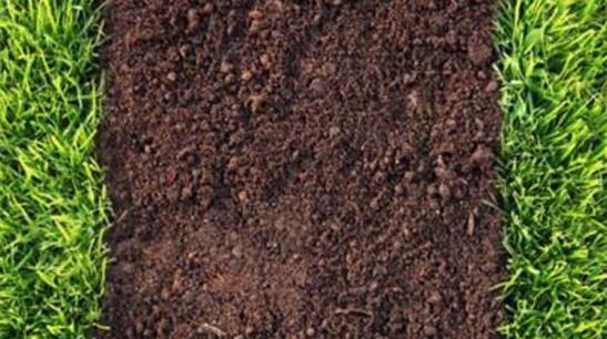 中药渣发酵多长时间，中药如何发酵做花土(3个步骤)