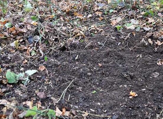 中药渣发酵多长时间，中药如何发酵做花土(3个步骤)