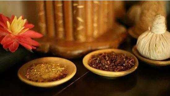 中药渣如何做肥料,中药渣制作肥料图解