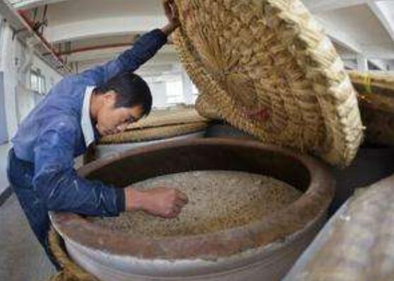 中药渣如何做肥料,中药渣制作肥料图解