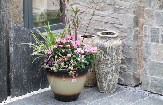 养花技巧|盆栽如何组合好看