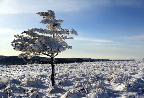 天热多浇,天冷少浇 养花技巧|浇花7大原则,现在知道还不晚