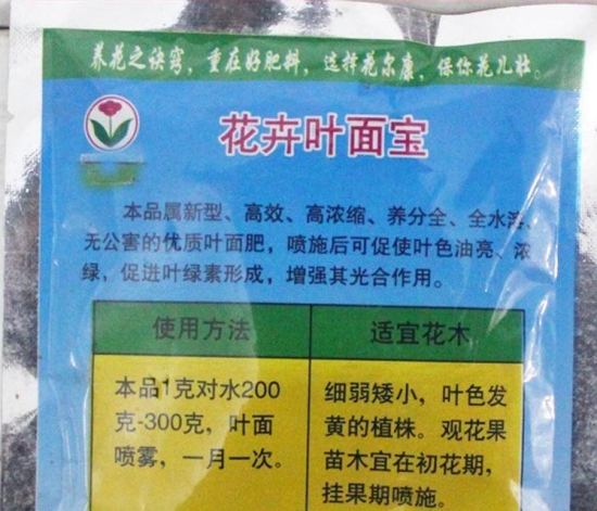 如何清洗盆栽叶片上的灰尘，立马变得绿油油！