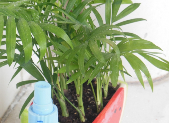 如何自制花肥：手把手教你制作氮、磷、钾纯天然有机肥