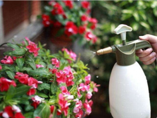 养花技巧：小苏打的妙用