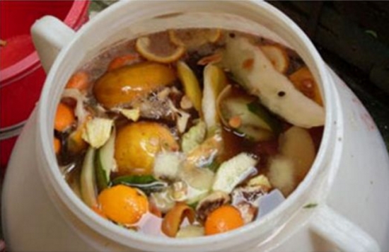 养花技巧：小苏打的妙用