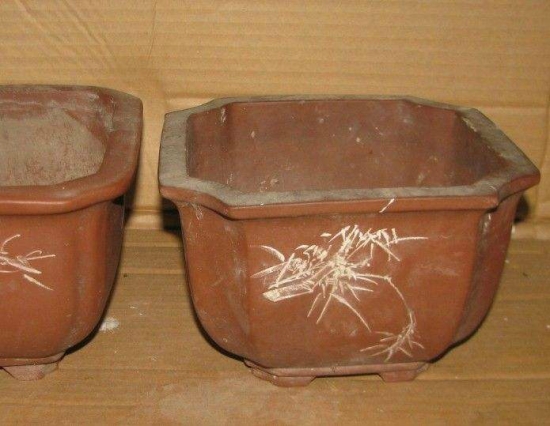 养花技巧：小苏打的妙用