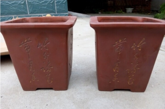 养花技巧：小苏打的妙用