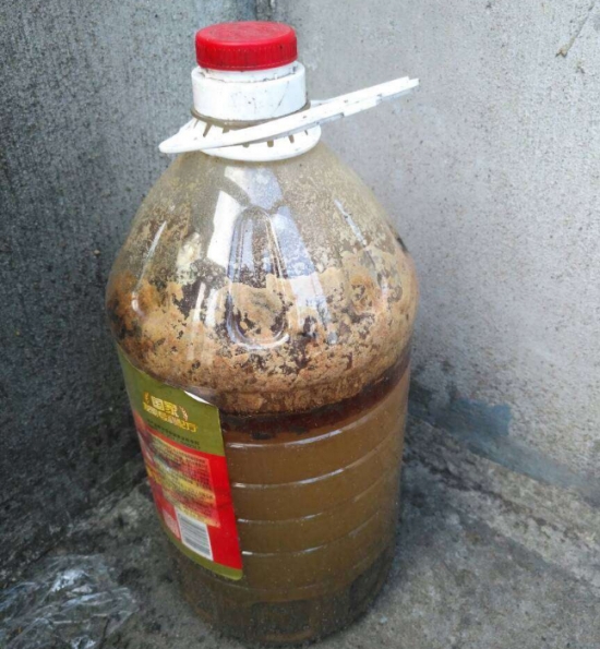 盆栽花卉施什么肥：不同的花对肥料的需求不同，对症下药