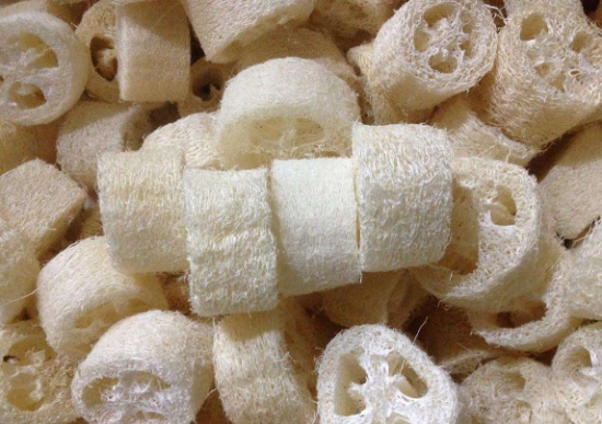 养花技巧：用这些东西垫花盆底可以避免烂根黄叶