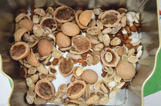 养花技巧：用这些东西垫花盆底可以避免烂根黄叶