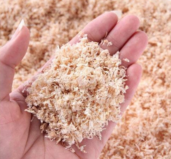 养花技巧：用这些东西垫花盆底可以避免烂根黄叶