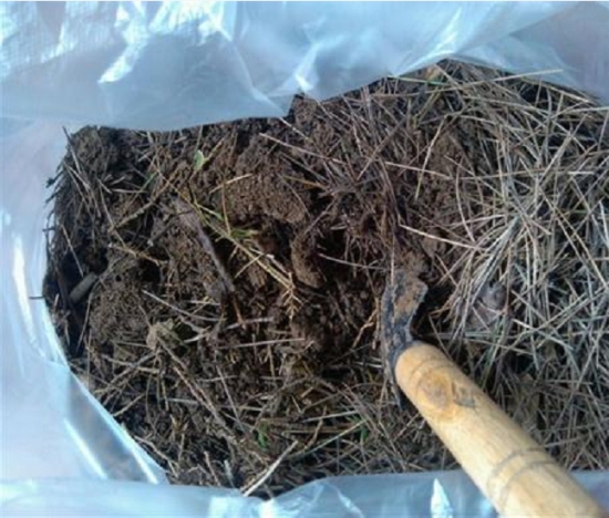 养花技巧：用这些东西垫花盆底可以避免烂根黄叶