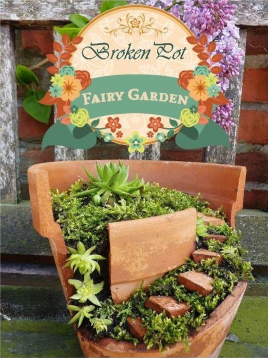 花盆摔破如何办：教你如何将破花盆变盆景