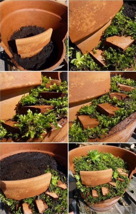 花盆摔破如何办：教你如何将破花盆变盆景