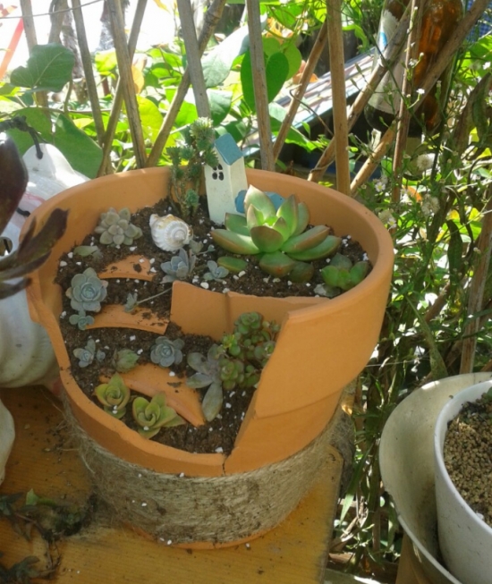 花盆摔破如何办：教你如何将破花盆变盆景