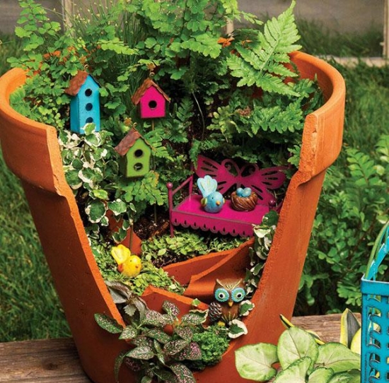 花盆摔破如何办：教你如何将破花盆变盆景