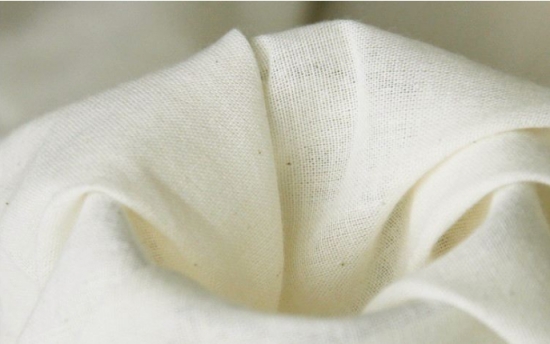 大蒜养花预防和治疗害虫 养花小技巧:大蒜也可以用来养花