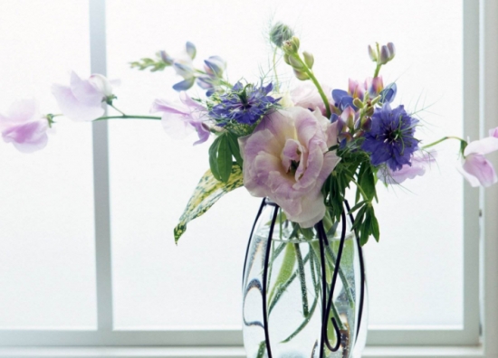 大蒜养花保鲜 养花小技巧:大蒜也可以用来养花