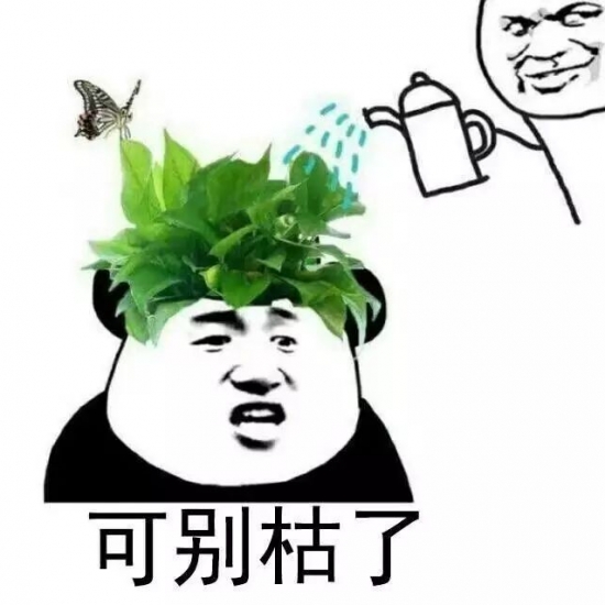 盆栽什么时候入室？可根据温度判断盆栽该不该入室