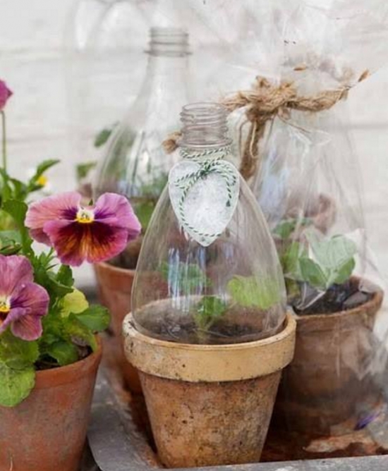 如何用塑料瓶制作花盆