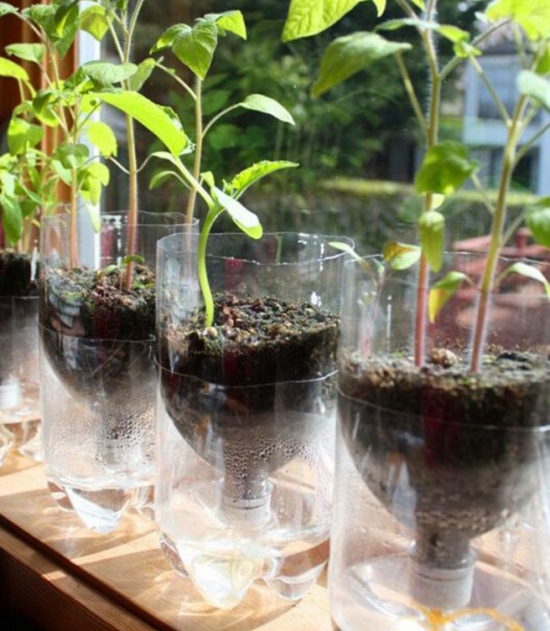 如何用塑料瓶制作花盆