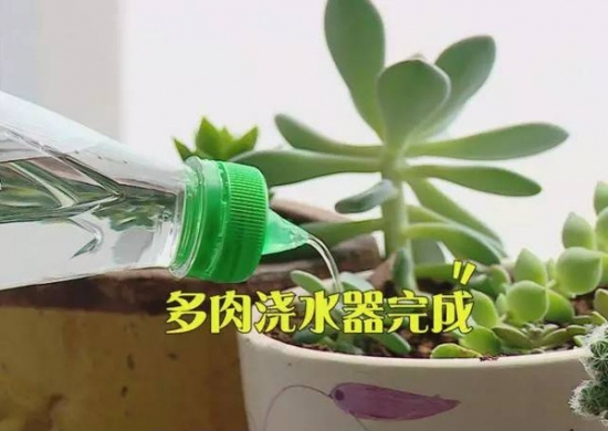 如何用塑料瓶制作花盆