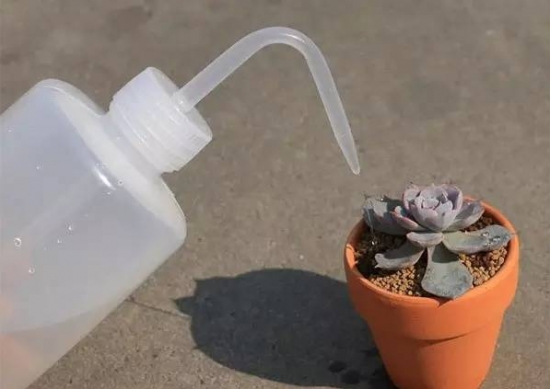 如何用塑料瓶制作花盆