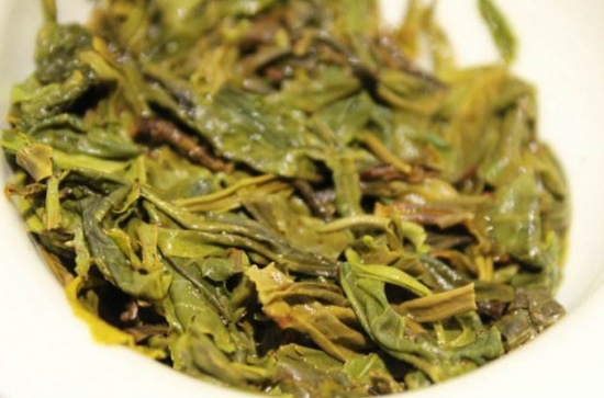 常见的8种错误盆栽养护办法