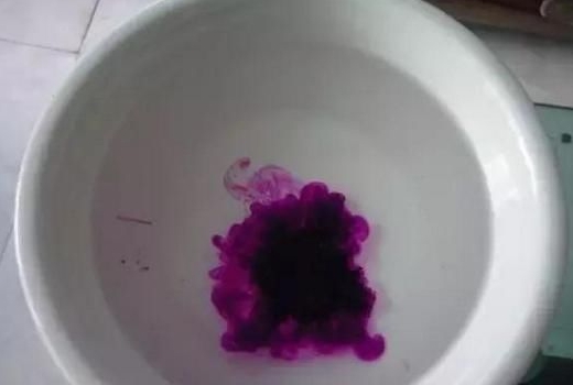 养花技巧|过期小药片也能养花