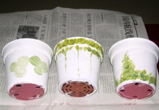 盆栽换盆留意事项 盆栽如何换盆:换盆时间最好是在植物休眠期或生长初期实行