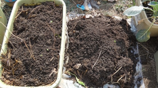 盆栽换盆留意事项 盆栽如何换盆:换盆时间最好是在植物休眠期或生长初期实行