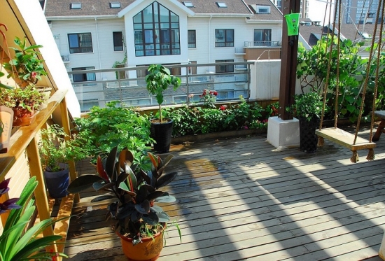 小病小痛不用找医生，养几盆草就够了