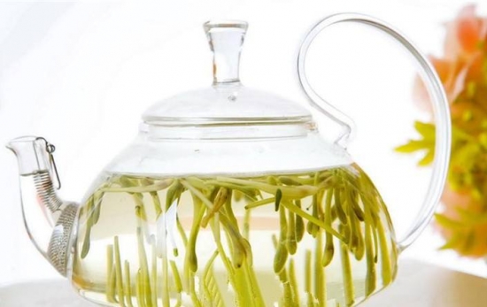 小病小痛不用找医生，养几盆草就够了