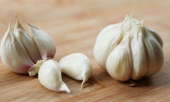 家庭养花技巧|自制天然杀虫剂