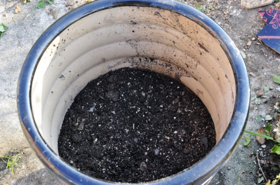 花盆底部垫煤炭 养花技巧|如何让花不黄叶不烂根