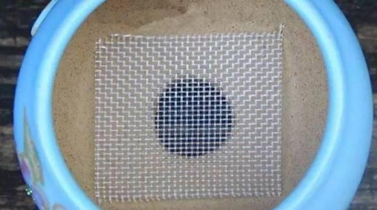 滤水网 养花技巧|如何让花不黄叶不烂根