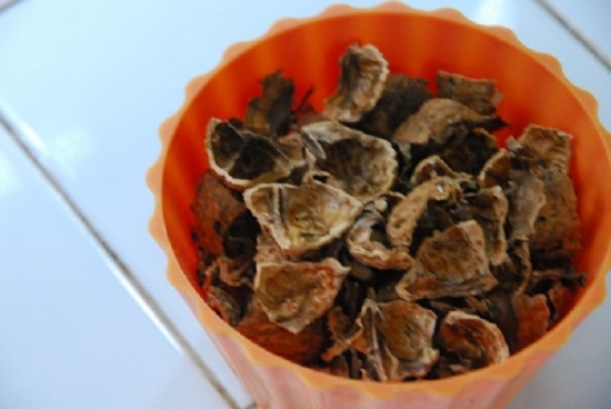 核桃壳 养花技巧|如何让花不黄叶不烂根